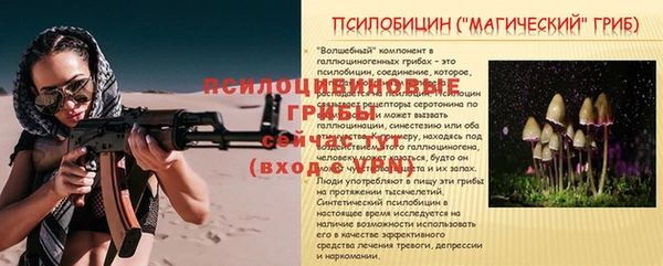 дурь Алексеевка