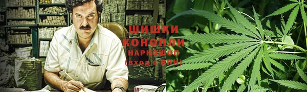 дурь Алексеевка