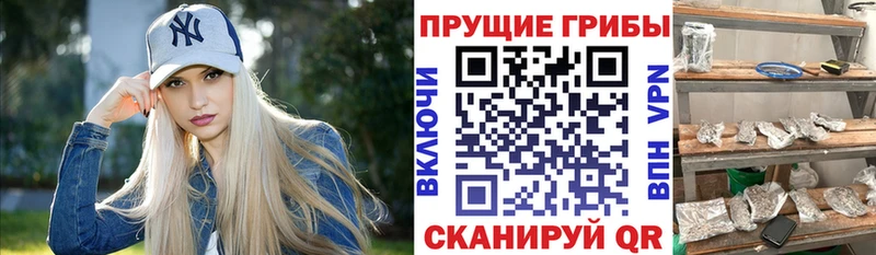 Галлюциногенные грибы прущие грибы  Похвистнево 